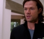 Filename=SPN_1052.jpg
Filesize=45KiB
Dimensions=1280x718
Date added=Sep 30, 2021 SPN_1052.jpg