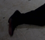 SPN_1071.jpg