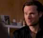 SPN_1214.jpg