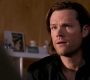SPN_1229.jpg