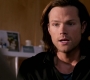 SPN_1238.jpg