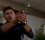 SPN_1331.jpg