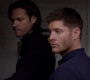 SPN_1477.jpg