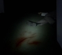SPN_1530.jpg