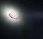 SPN_1536.jpg