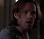 SPN_0082.jpg