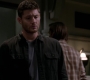 SPN_0228.jpg