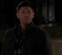 SPN_0058.jpg
