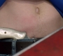 SPN_0215.jpg