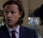 SPN_0504.jpg