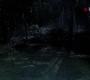 SPN_0772.jpg