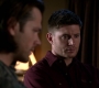 SPN_0784.jpg