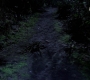 SPN_0851.jpg