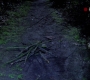 SPN_0852.jpg