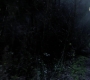 SPN_0854.jpg