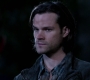 SPN_0914.jpg