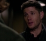 SPN_1035.jpg