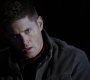 SPN_1119.jpg