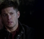 SPN_1166.jpg