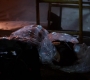 SPN_1182.jpg