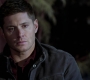 SPN_1184.jpg