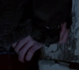 SPN_1256.jpg