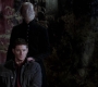 SPN_1259.jpg