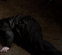 SPN_1354.jpg