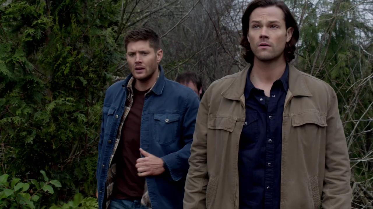 SPN_1003.jpg