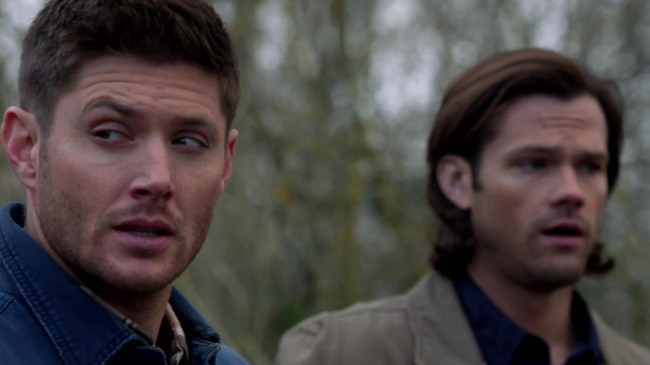 SPN_1039.jpg