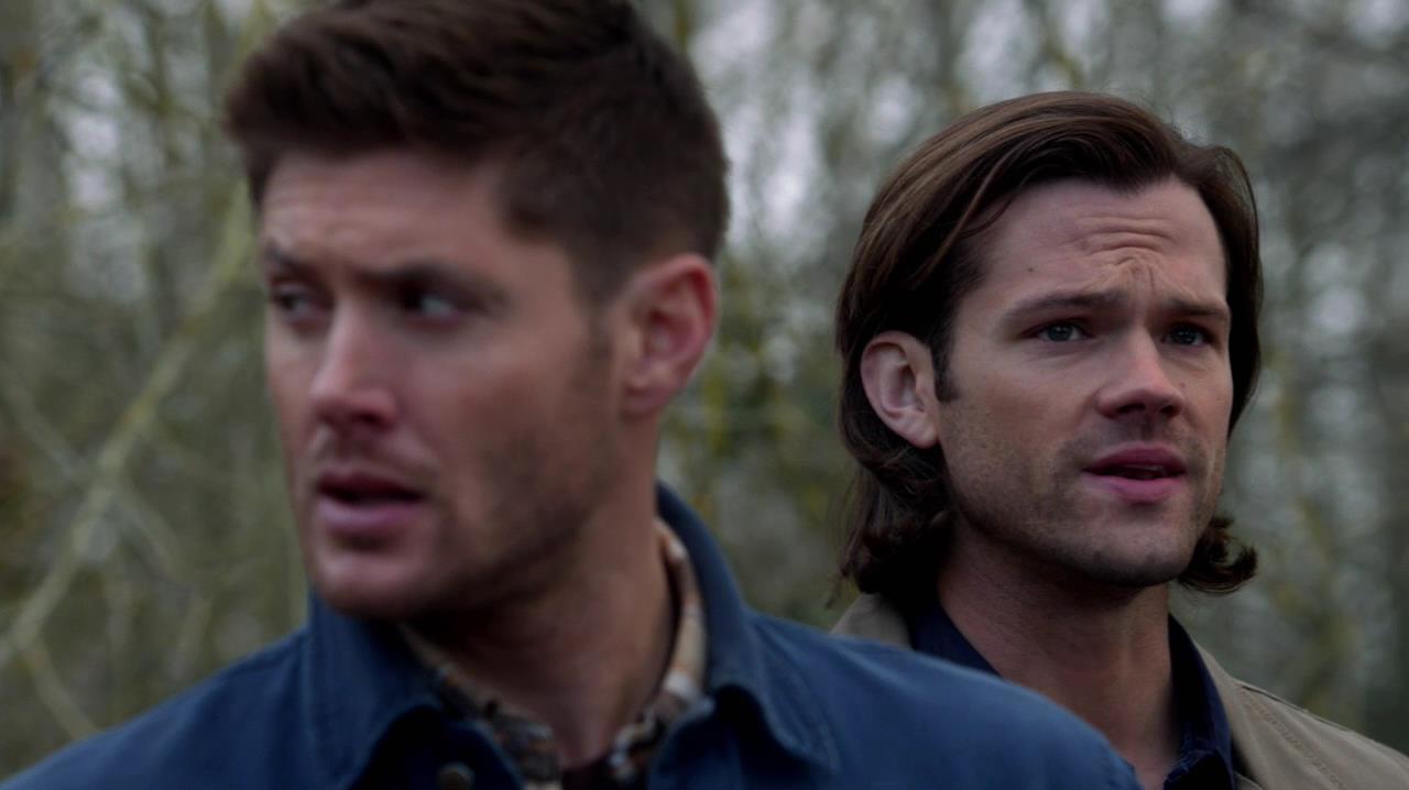SPN_1040.jpg