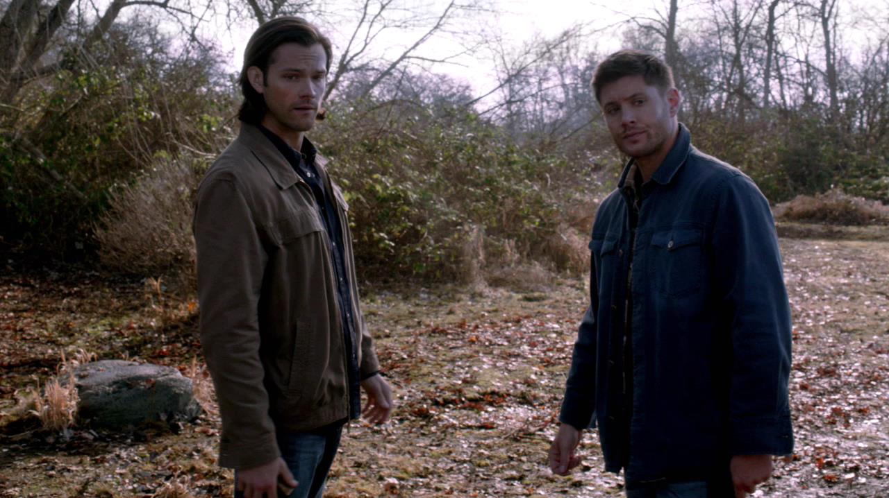SPN_1059.jpg