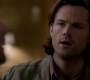 SPN_0484.jpg