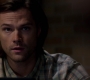 SPN_0544.jpg