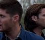 SPN_1041.jpg