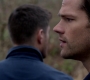 SPN_1043.jpg