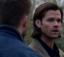 SPN_1052.jpg