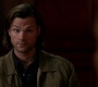 SPN_1136.jpg