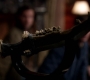 SPN_1196.jpg