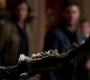 SPN_1197.jpg