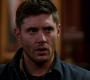 SPN_1593.jpg