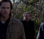 SPN_1602.jpg