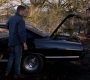 SPN_1619.jpg