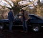 Filename=SPN_1713.jpg
Filesize=146KiB
Dimensions=1280x718
Date added=Sep 30, 2021 SPN_1713.jpg