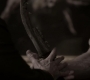 Filename=SPN_1159.jpg
Filesize=34KiB
Dimensions=1280x718
Date added=Sep 30, 2021 SPN_1159.jpg