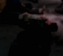 SPN_0156.jpg