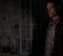 SPN_1133.jpg