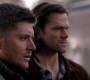 SPN_1286.jpg