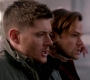SPN_1315.jpg