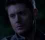 SPN_1418.jpg